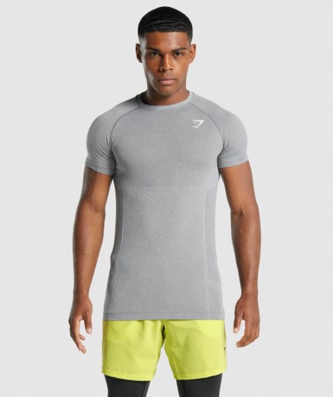 Men's Gymshark Vital Light Seamless T-Shirts Grey | CA DA6357